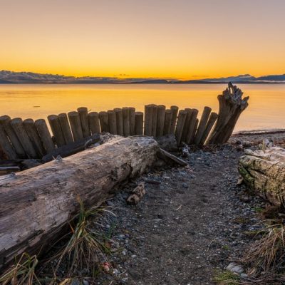 pexels-photo-3989873 pexels-photo-3989873