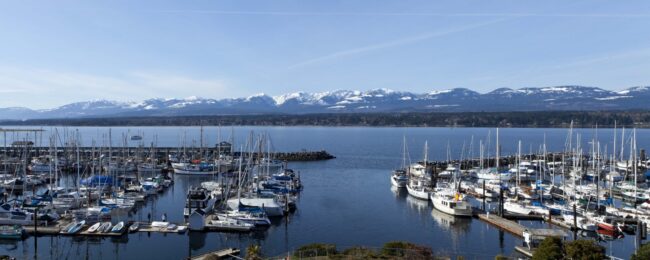 5b44a879-12af-47a6-8d03-0713810f06b5